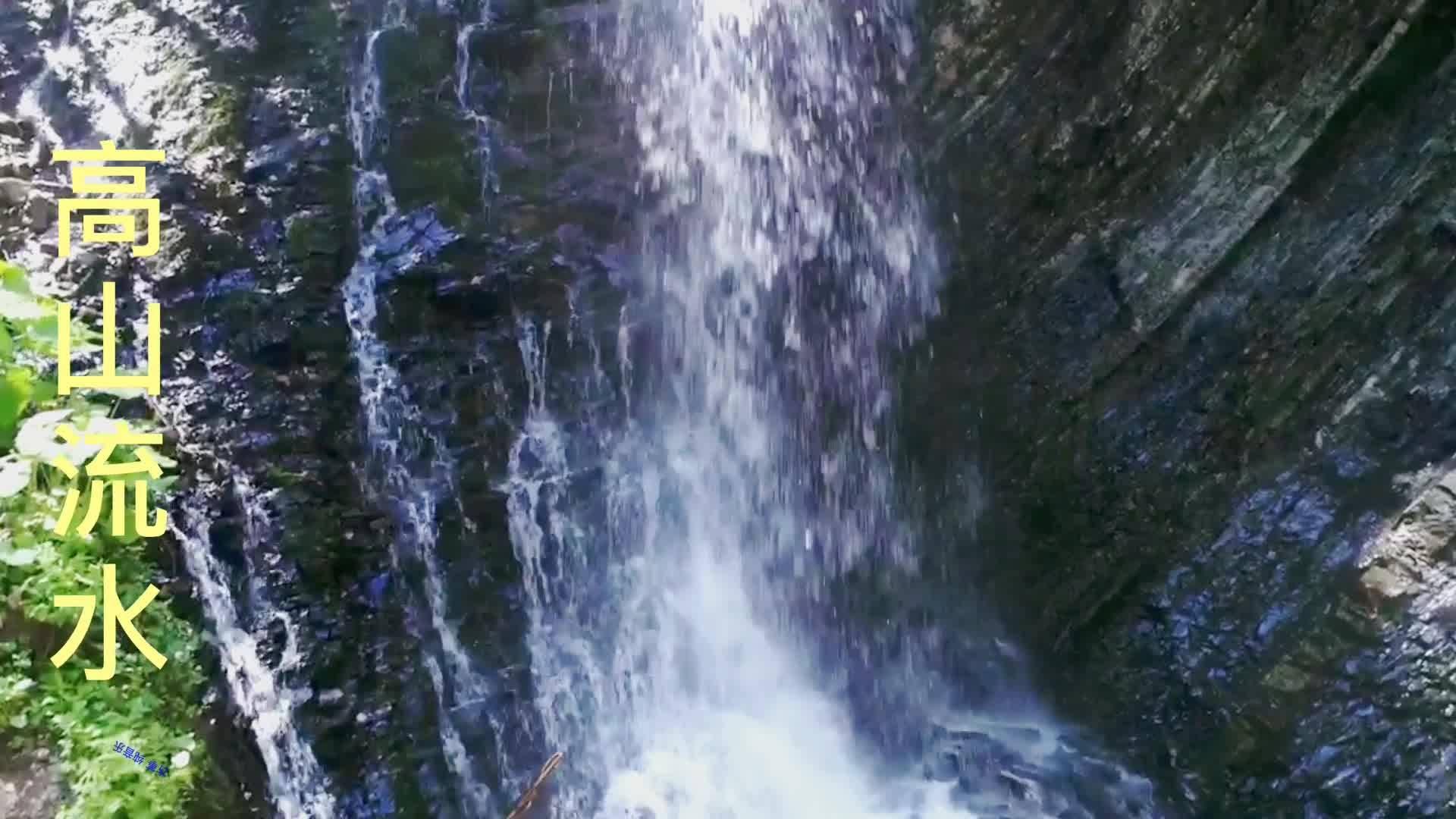 救援卡通小象